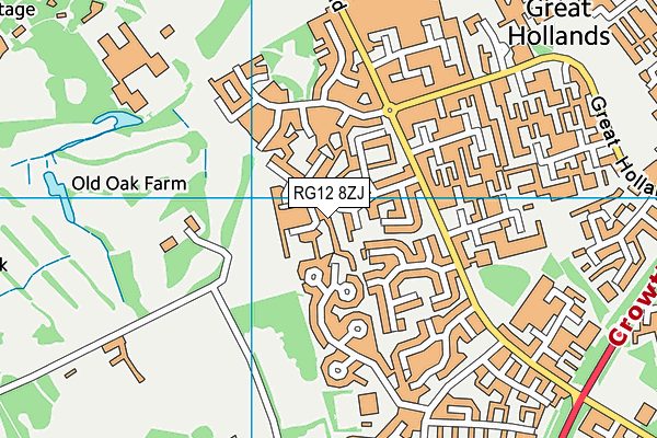 RG12 8ZJ map - OS VectorMap District (Ordnance Survey) RG12 8ZJ map - OS VectorMap District (Ordnance Survey)