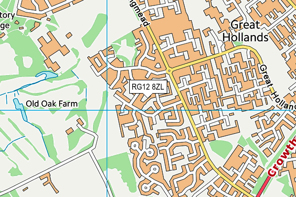 RG12 8ZL map - OS VectorMap District (Ordnance Survey) RG12 8ZL map - OS VectorMap District (Ordnance Survey)