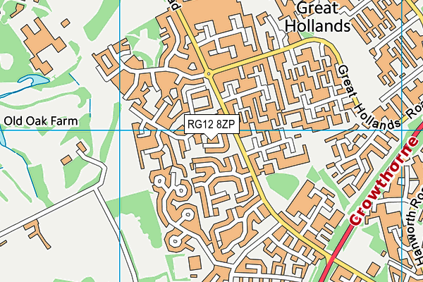 RG12 8ZP map - OS VectorMap District (Ordnance Survey) RG12 8ZP map - OS VectorMap District (Ordnance Survey)
