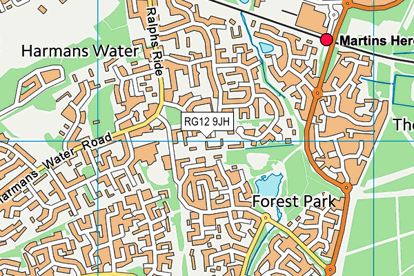 RG12 9JH map - OS VectorMap District (Ordnance Survey) RG12 9JH map - OS VectorMap District (Ordnance Survey)