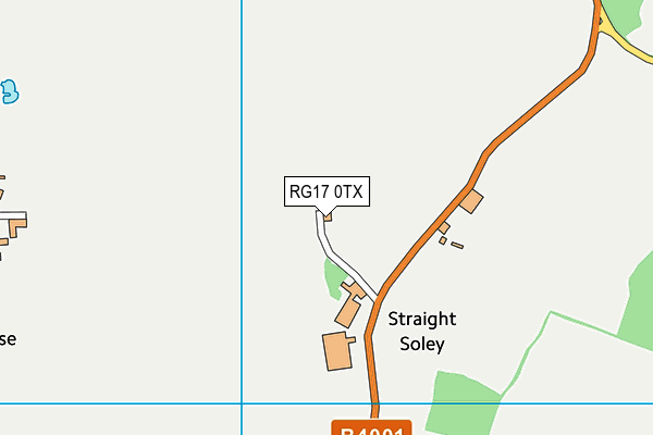RG17 0TX map - OS VectorMap District (Ordnance Survey) RG17 0TX map - OS VectorMap District (Ordnance Survey)