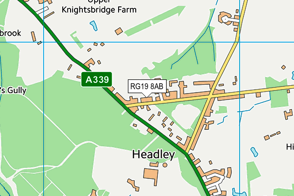 RG19 8AB map - OS VectorMap District (Ordnance Survey) RG19 8AB map - OS VectorMap District (Ordnance Survey)