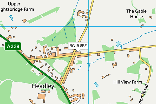 RG19 8BF map - OS VectorMap District (Ordnance Survey) RG19 8BF map - OS VectorMap District (Ordnance Survey)