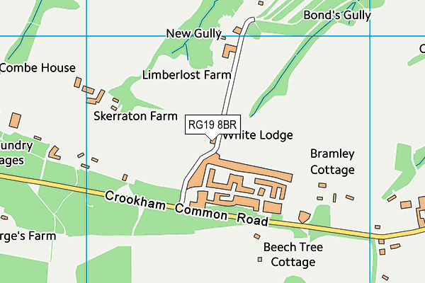 RG19 8BR map - OS VectorMap District (Ordnance Survey) RG19 8BR map - OS VectorMap District (Ordnance Survey)