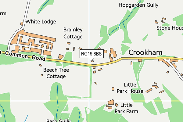 RG19 8BS map - OS VectorMap District (Ordnance Survey) RG19 8BS map - OS VectorMap District (Ordnance Survey)