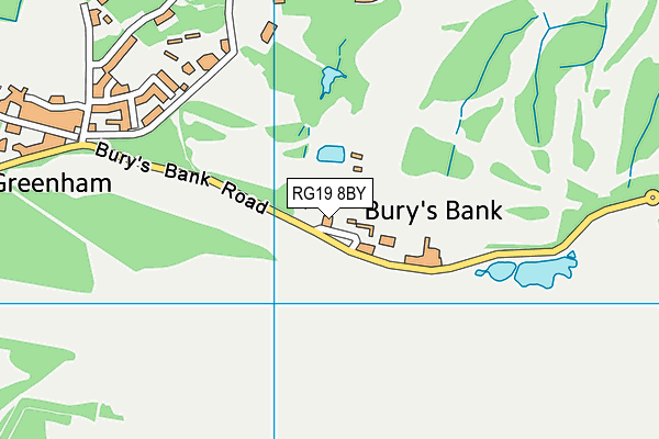 RG19 8BY map - OS VectorMap District (Ordnance Survey) RG19 8BY map - OS VectorMap District (Ordnance Survey)