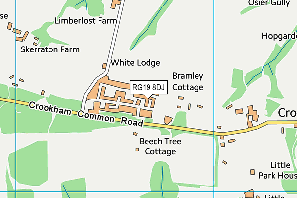 RG19 8DJ map - OS VectorMap District (Ordnance Survey) RG19 8DJ map - OS VectorMap District (Ordnance Survey)