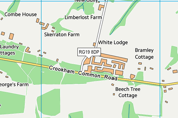 RG19 8DP map - OS VectorMap District (Ordnance Survey) RG19 8DP map - OS VectorMap District (Ordnance Survey)