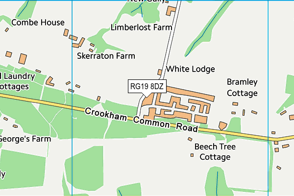 RG19 8DZ map - OS VectorMap District (Ordnance Survey) RG19 8DZ map - OS VectorMap District (Ordnance Survey)