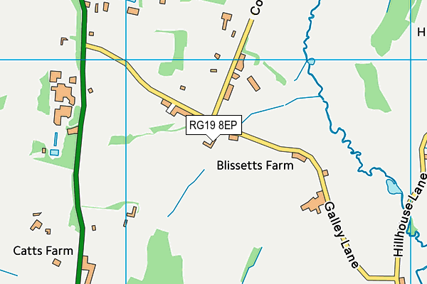 RG19 8EP map - OS VectorMap District (Ordnance Survey) RG19 8EP map - OS VectorMap District (Ordnance Survey)