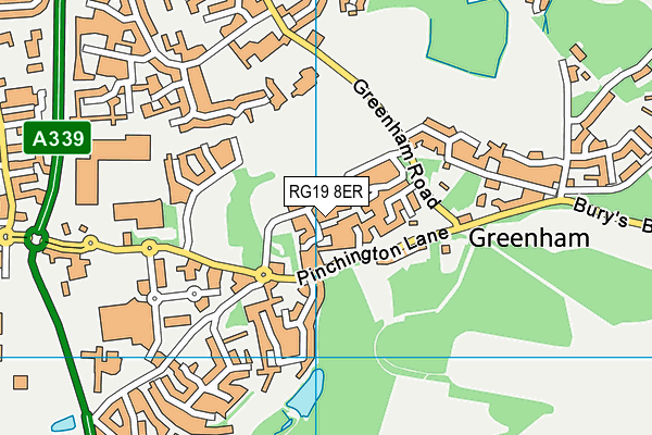RG19 8ER map - OS VectorMap District (Ordnance Survey) RG19 8ER map - OS VectorMap District (Ordnance Survey)