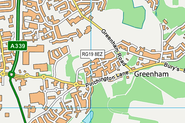 RG19 8EZ map - OS VectorMap District (Ordnance Survey) RG19 8EZ map - OS VectorMap District (Ordnance Survey)