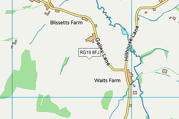 RG19 8FJ map - OS VectorMap District (Ordnance Survey) RG19 8FJ map - OS VectorMap District (Ordnance Survey)