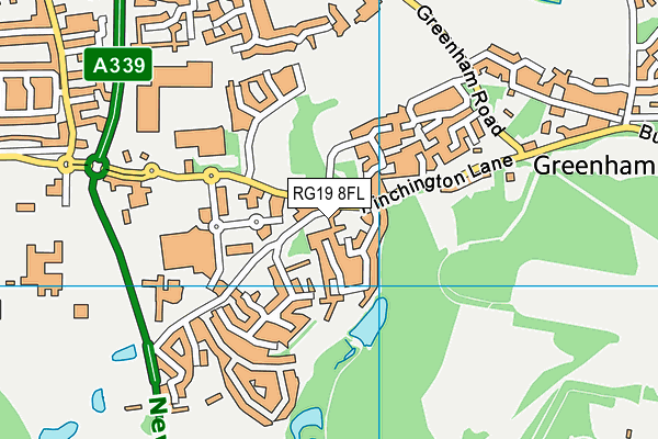 RG19 8FL map - OS VectorMap District (Ordnance Survey) RG19 8FL map - OS VectorMap District (Ordnance Survey)