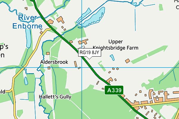 RG19 8JY map - OS VectorMap District (Ordnance Survey) RG19 8JY map - OS VectorMap District (Ordnance Survey)