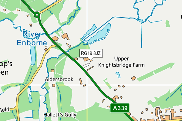 RG19 8JZ map - OS VectorMap District (Ordnance Survey)