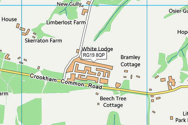 RG19 8QP map - OS VectorMap District (Ordnance Survey) RG19 8QP map - OS VectorMap District (Ordnance Survey)
