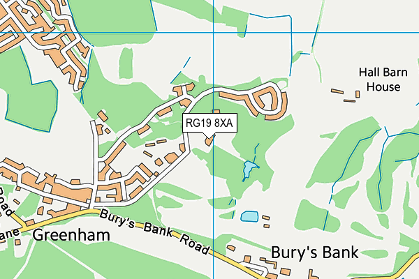 RG19 8XA map - OS VectorMap District (Ordnance Survey) RG19 8XA map - OS VectorMap District (Ordnance Survey)