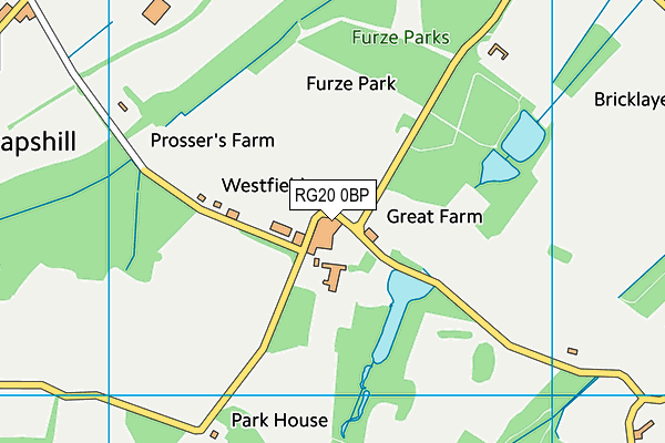 RG20 0BP map - OS VectorMap District (Ordnance Survey) RG20 0BP map - OS VectorMap District (Ordnance Survey)