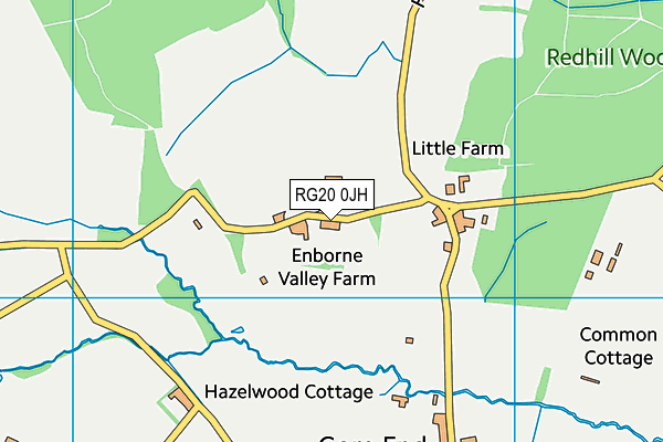 RG20 0JH map - OS VectorMap District (Ordnance Survey) RG20 0JH map - OS VectorMap District (Ordnance Survey)