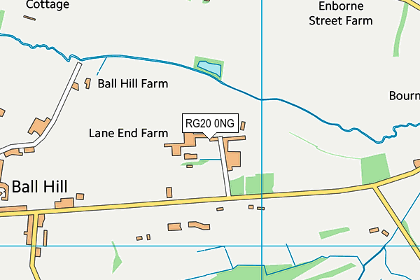 RG20 0NG map - OS VectorMap District (Ordnance Survey) RG20 0NG map - OS VectorMap District (Ordnance Survey)