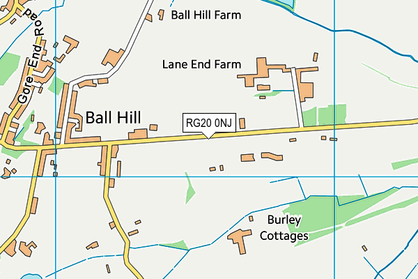 RG20 0NJ map - OS VectorMap District (Ordnance Survey) RG20 0NJ map - OS VectorMap District (Ordnance Survey)