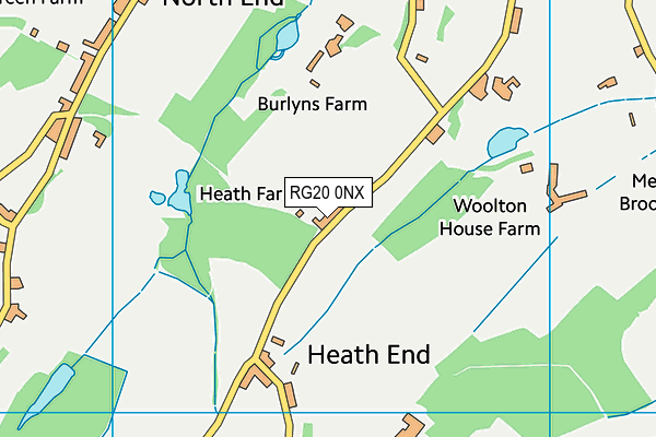 RG20 0NX map - OS VectorMap District (Ordnance Survey) RG20 0NX map - OS VectorMap District (Ordnance Survey)