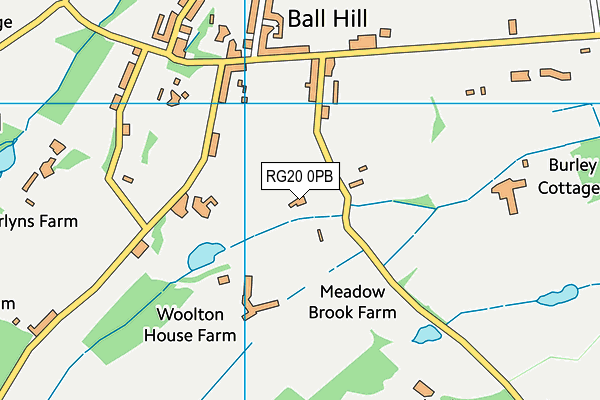 RG20 0PB map - OS VectorMap District (Ordnance Survey) RG20 0PB map - OS VectorMap District (Ordnance Survey)