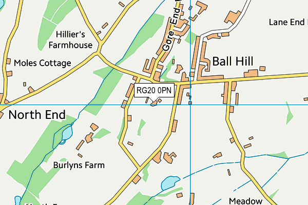 RG20 0PN map - OS VectorMap District (Ordnance Survey) RG20 0PN map - OS VectorMap District (Ordnance Survey)
