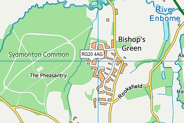 RG20 4AG map - OS VectorMap District (Ordnance Survey) RG20 4AG map - OS VectorMap District (Ordnance Survey)