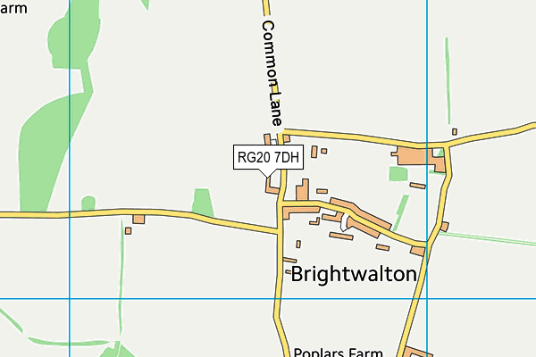 RG20 7DH map - OS VectorMap District (Ordnance Survey) RG20 7DH map - OS VectorMap District (Ordnance Survey)