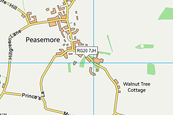 RG20 7JH map - OS VectorMap District (Ordnance Survey) RG20 7JH map - OS VectorMap District (Ordnance Survey)