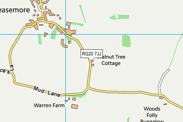 RG20 7JJ map - OS VectorMap District (Ordnance Survey) RG20 7JJ map - OS VectorMap District (Ordnance Survey)