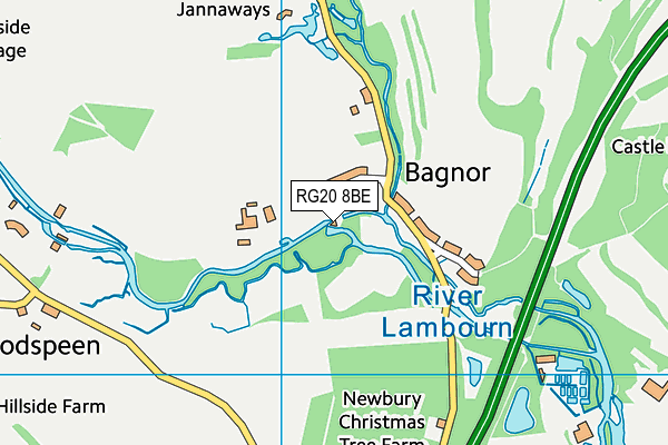 RG20 8BE map - OS VectorMap District (Ordnance Survey) RG20 8BE map - OS VectorMap District (Ordnance Survey)