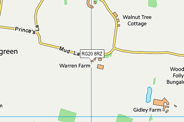 RG20 8RZ map - OS VectorMap District (Ordnance Survey) RG20 8RZ map - OS VectorMap District (Ordnance Survey)