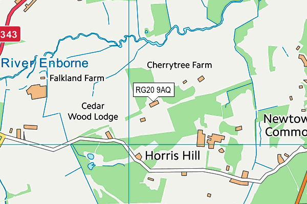 RG20 9AQ map - OS VectorMap District (Ordnance Survey) RG20 9AQ map - OS VectorMap District (Ordnance Survey)
