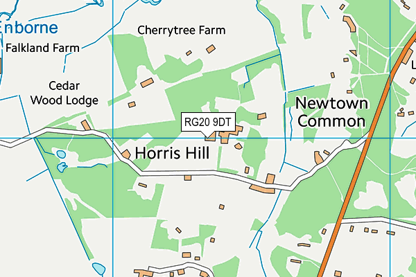RG20 9DT map - OS VectorMap District (Ordnance Survey) RG20 9DT map - OS VectorMap District (Ordnance Survey)
