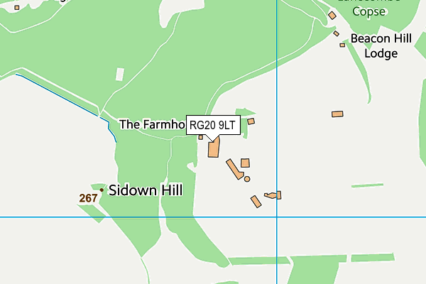 RG20 9LT map - OS VectorMap District (Ordnance Survey) RG20 9LT map - OS VectorMap District (Ordnance Survey)