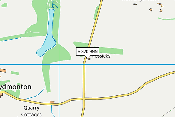 RG20 9NN map - OS VectorMap District (Ordnance Survey) RG20 9NN map - OS VectorMap District (Ordnance Survey)