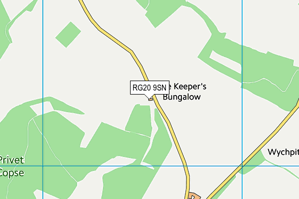 RG20 9SN map - OS VectorMap District (Ordnance Survey) RG20 9SN map - OS VectorMap District (Ordnance Survey)