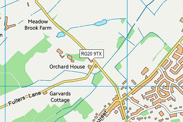 RG20 9TX map - OS VectorMap District (Ordnance Survey) RG20 9TX map - OS VectorMap District (Ordnance Survey)