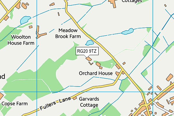 RG20 9TZ map - OS VectorMap District (Ordnance Survey) RG20 9TZ map - OS VectorMap District (Ordnance Survey)