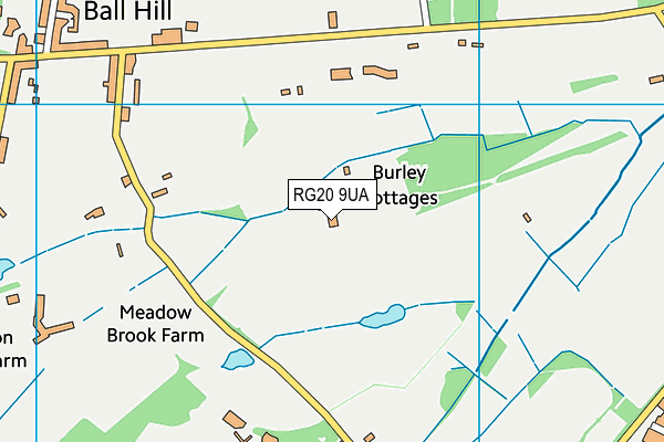 RG20 9UA map - OS VectorMap District (Ordnance Survey) RG20 9UA map - OS VectorMap District (Ordnance Survey)
