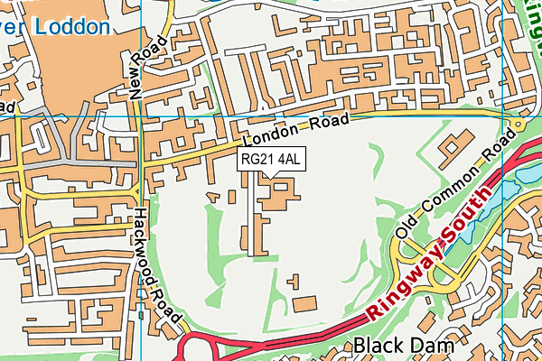 RG21 4AL map - OS VectorMap District (Ordnance Survey) RG21 4AL map - OS VectorMap District (Ordnance Survey)