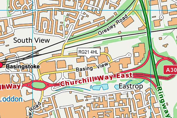 RG21 4HL map - OS VectorMap District (Ordnance Survey) RG21 4HL map - OS VectorMap District (Ordnance Survey)