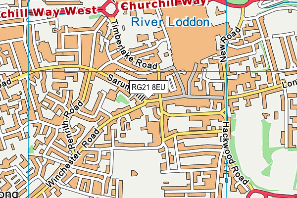 RG21 8EU map - OS VectorMap District (Ordnance Survey) RG21 8EU map - OS VectorMap District (Ordnance Survey)