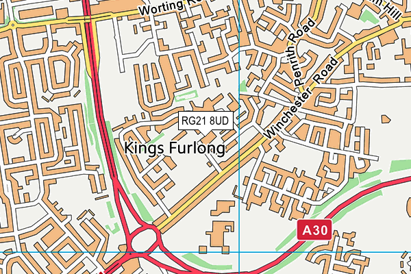 RG21 8UD map - OS VectorMap District (Ordnance Survey) RG21 8UD map - OS VectorMap District (Ordnance Survey)