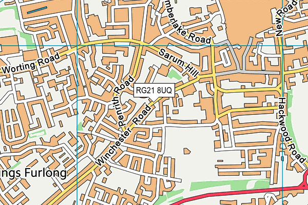 RG21 8UQ map - OS VectorMap District (Ordnance Survey)