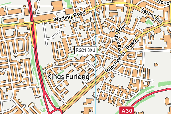 RG21 8XU map - OS VectorMap District (Ordnance Survey) RG21 8XU map - OS VectorMap District (Ordnance Survey)