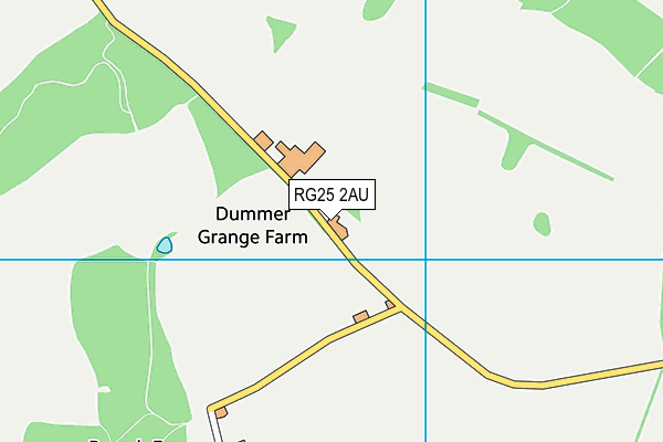 RG25 2AU map - OS VectorMap District (Ordnance Survey) RG25 2AU map - OS VectorMap District (Ordnance Survey)